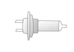 イルミネーション