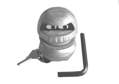 盗難防止装置（トレーラーコップ） - 406537.001 - 盗難防止装置